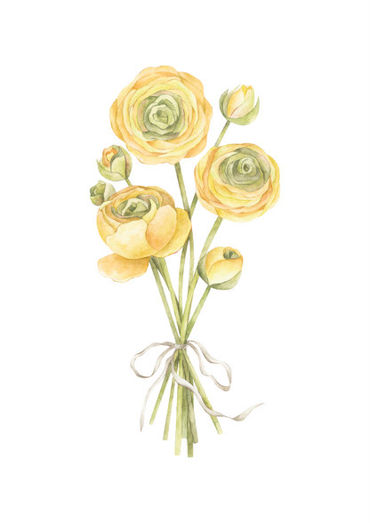 Ranunculus