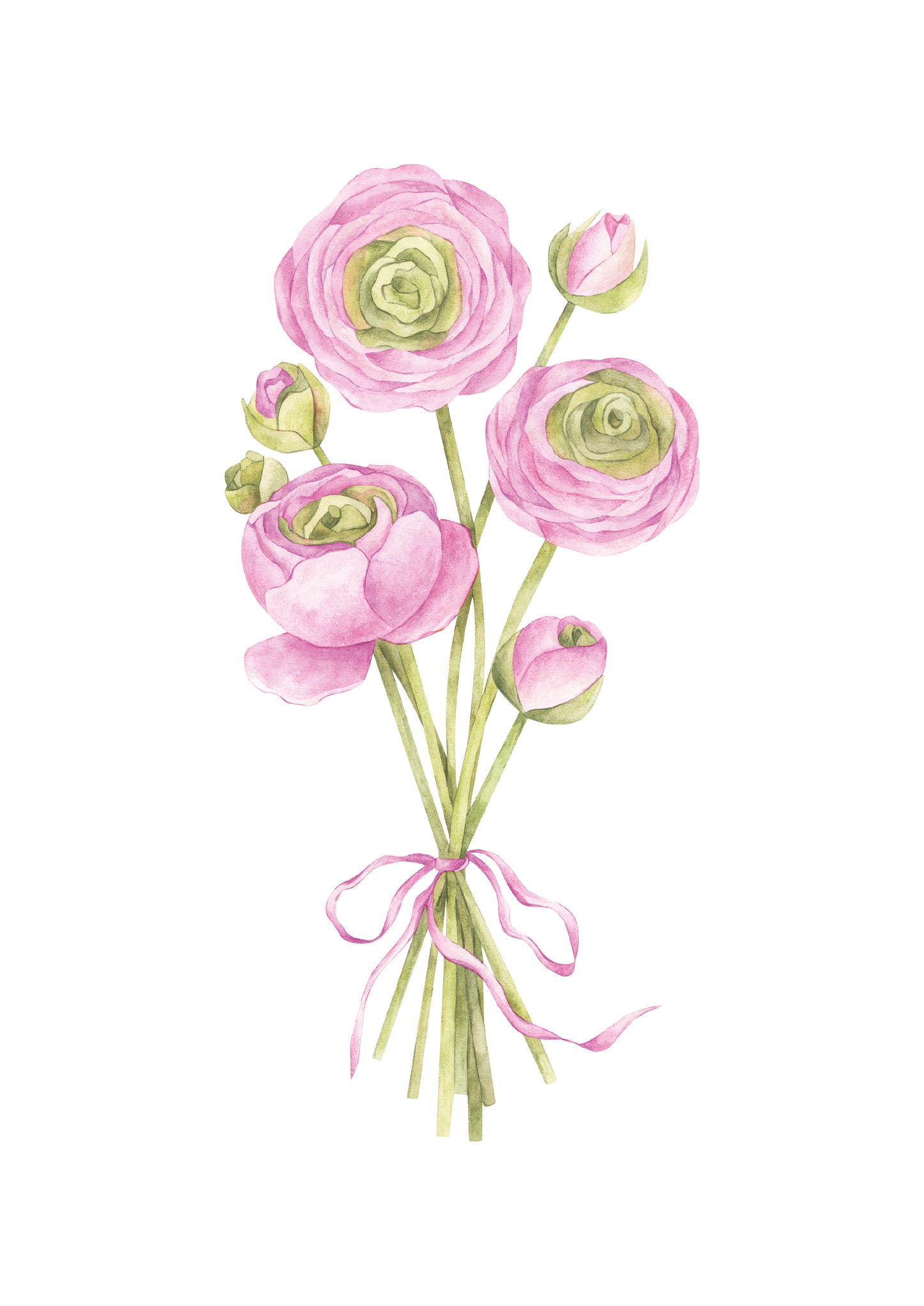 Ranunculus